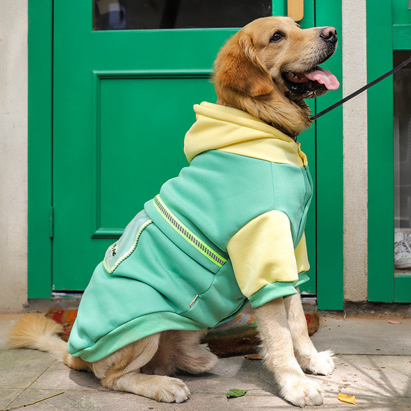 Keep Your Large Dog Stylish and Cozy with Our Sweater